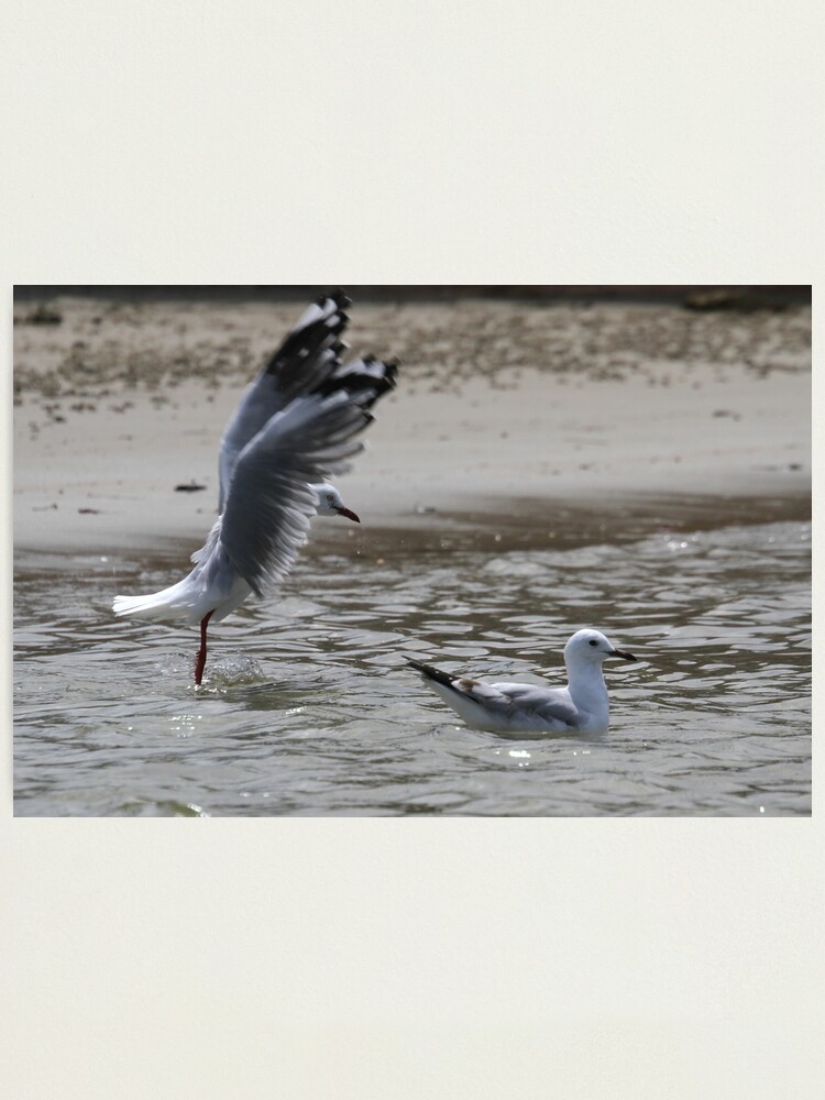 Alternate view of Boo! Photographic Print