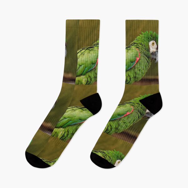 Item preview, CREATITYLOVE CLASSIC BIRDS PATTERNS designed and sold by VividThreadsDesignStudio.