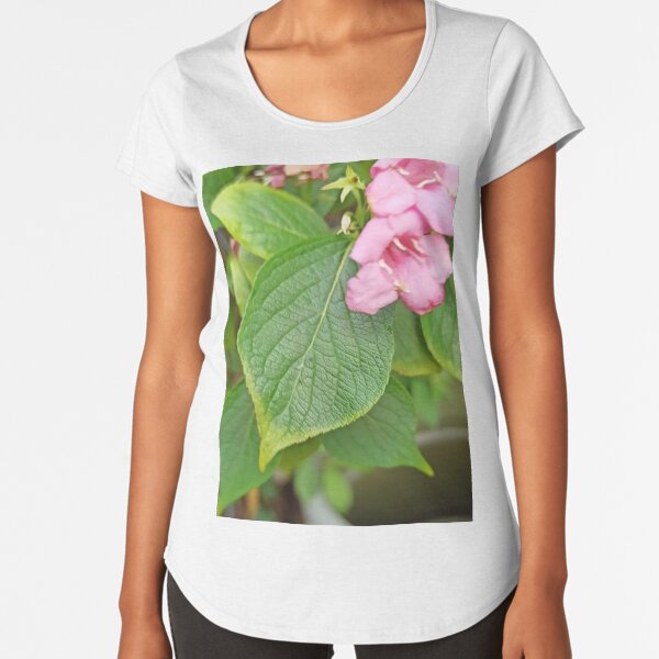 Plant with flower Premium Scoop T-Shirt