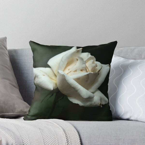 Item preview, Small white rose Leith Park Victoria 20151030 0529 designed and sold by Fred Mitchell.
