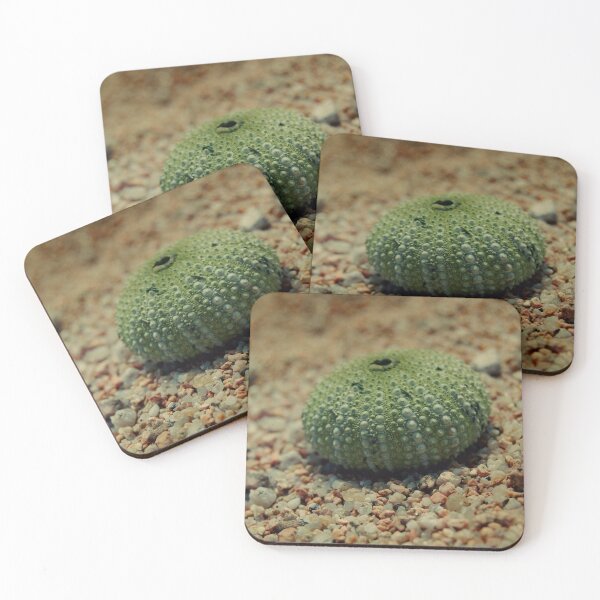 Item preview, Sea Urchin on a Beach designed and sold by rosedew.