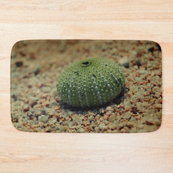 Item preview, Sea Urchin on a Beach designed and sold by rosedew.