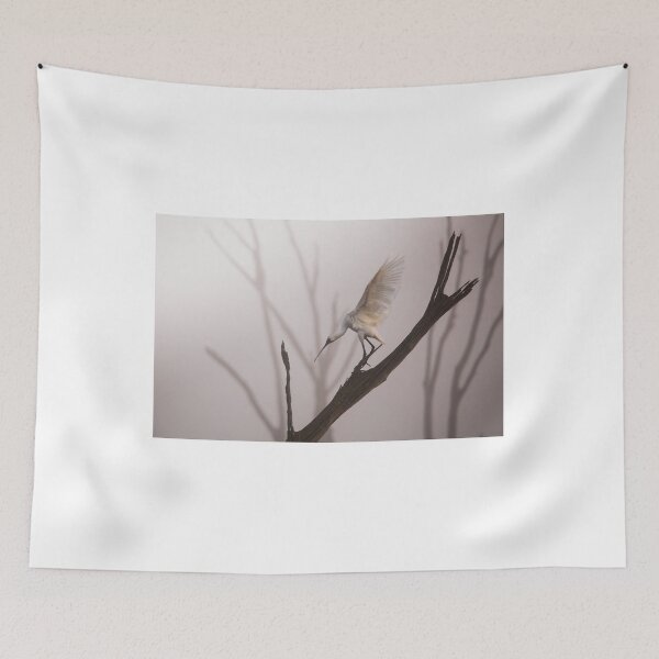 Item preview, Balance designed and sold by Bruce Reardon.