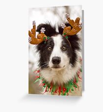 Reindeer Collie Greeting Card