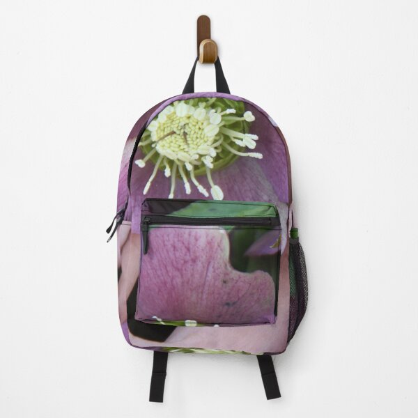 Item preview, Black hellebore flower medicinal plant	 designed and sold by EstelleRossetti.