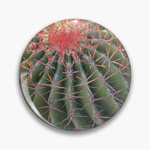 Item preview, Cactus designed and sold by pinkyjainpan.