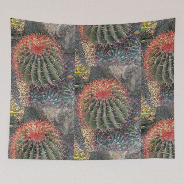 Item preview, Cactus designed and sold by pinkyjainpan.