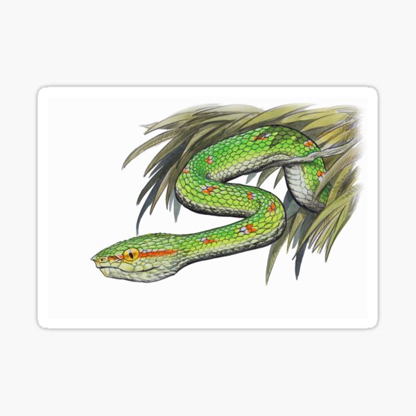 Pit Viper Stickers | Redbubble