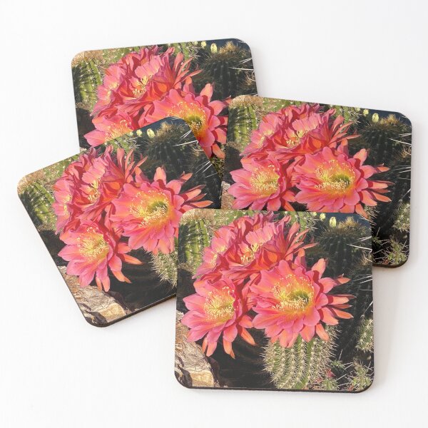 Item preview, Cactus Flowers designed and sold by pinkyjainpan.