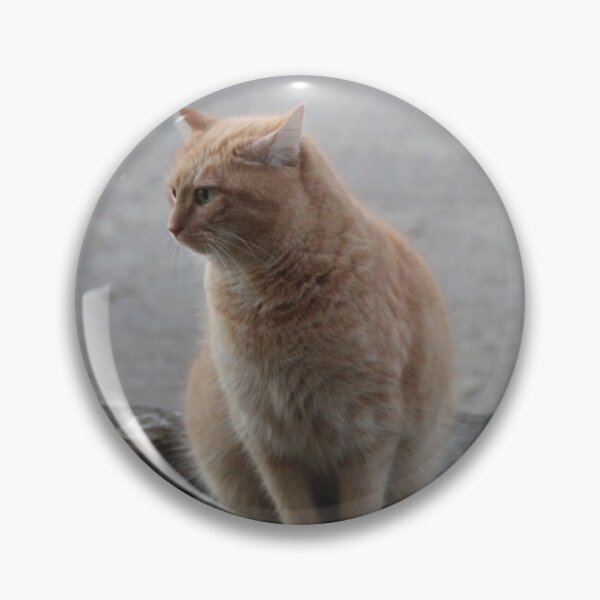 Artikelvorschau, Lovely red cat sitting in a farm entworfen und verkauft von EstelleRossetti.