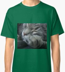 Sleeping kitten Classic T-Shirt