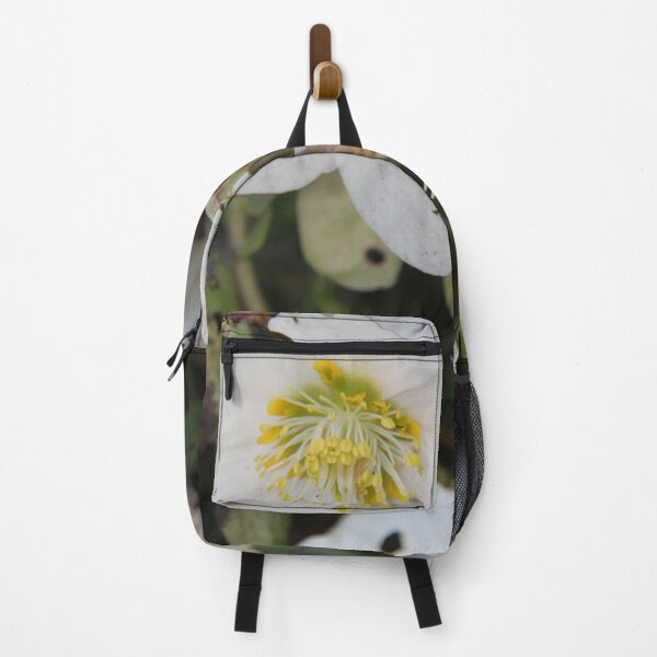 Item preview, Black hellebore white flower medicinal plant designed and sold by EstelleRossetti.