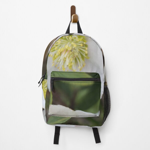 Item preview, Black hellebore white flower medicinal plant with a bee	 designed and sold by EstelleRossetti.