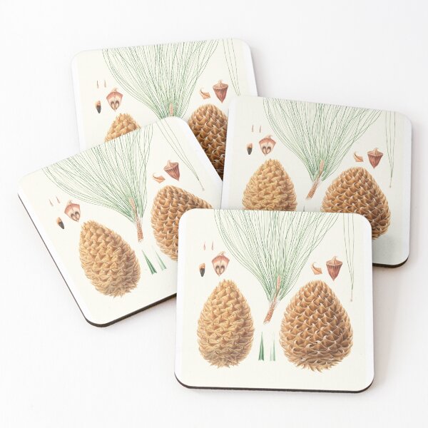 Item preview, Pinus Sabiniana - Great Prickly-Coned Pine (1837) - Aylmer Bourke Lambert designed and sold by Francisco Couto.