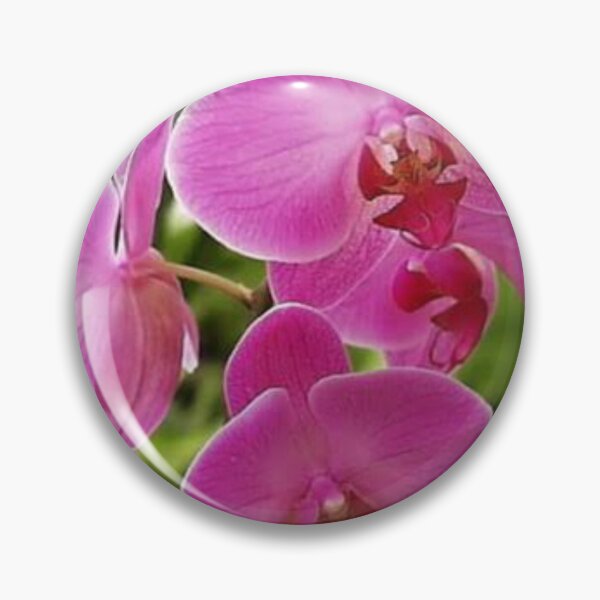 Item preview, Funny Design designed and sold by MohamedRashed15.