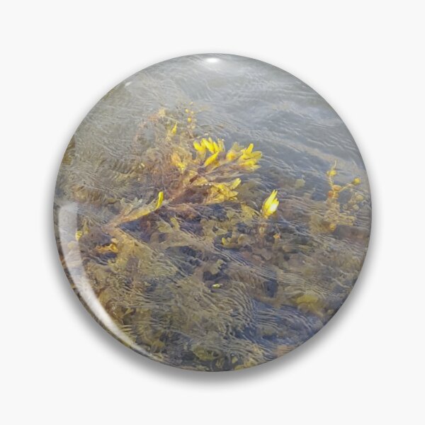 Item preview, Seaweed beneath the surface of the sea. designed and sold by Gary sheaf.
