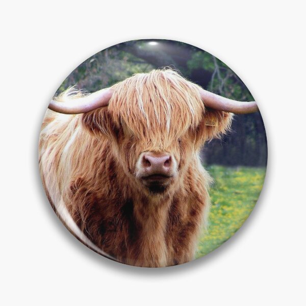 Item preview, Highland cow  designed and sold by Guy Christophe Tixier.