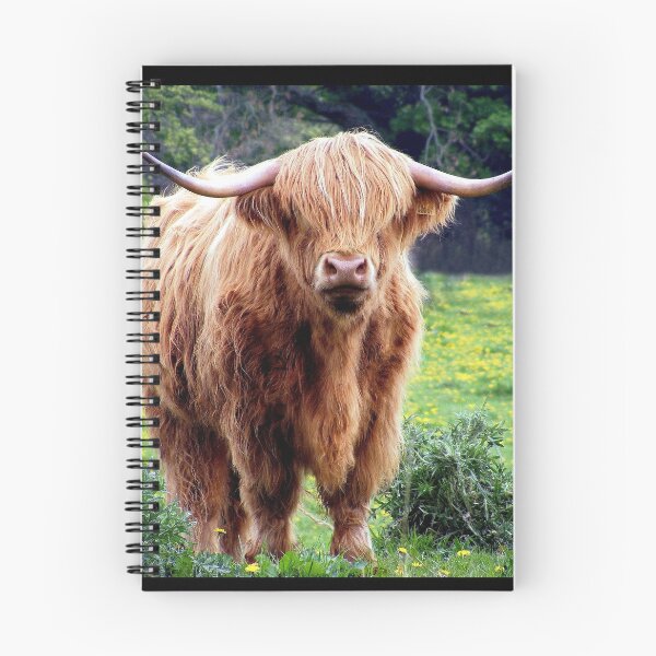 Item preview, Highland cow  designed and sold by Guy Christophe Tixier.
