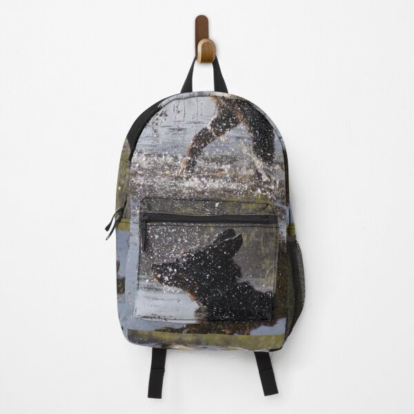 Item preview, Beauceron dog having fun in puddles in the meadow	 designed and sold by EstelleRossetti.