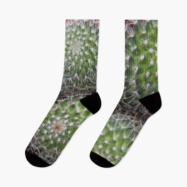 Item preview, Cute spiky cactus succulent houseplant	 designed and sold by EstelleRossetti.