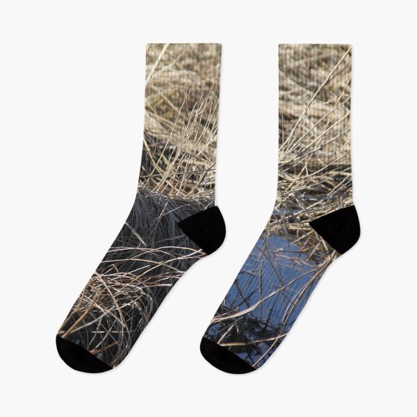 Item preview, Madine lake natural reeds landscape	 designed and sold by EstelleRossetti.