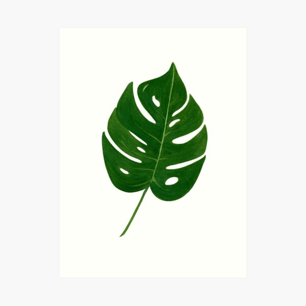 Leaf Print - 2 Art Print