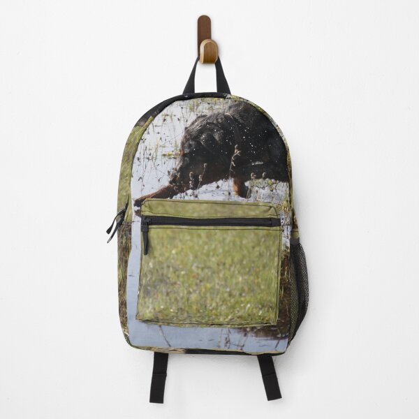 Item preview, Beauceron dog having fun in puddles in the meadow	 designed and sold by EstelleRossetti.