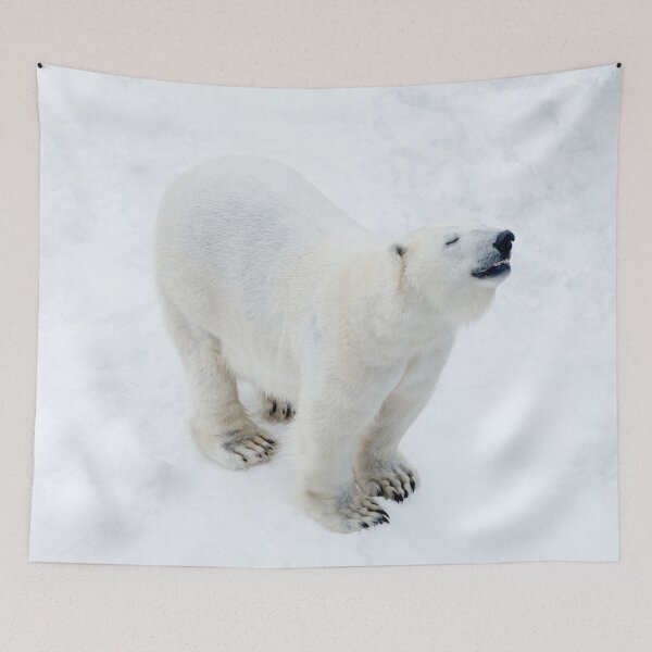 Item preview, Polar bear in white snow.." is it dinner time?" designed and sold by HTPOP.
