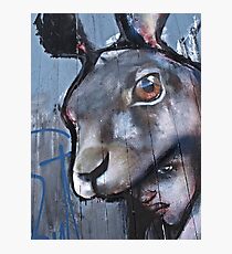 The beast in me Photographic Print