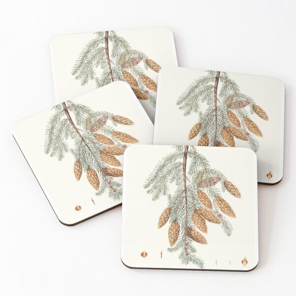 Item preview, Pinus Douglasii = Trident-bracted fir. (1837) - Aylmer Bourke Lambert designed and sold by Francisco Couto.
