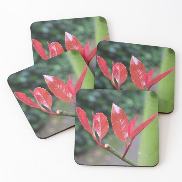 Item preview, Red leaves designed and sold by Linnys-Designs.