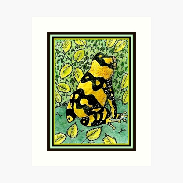 Item preview, Yellow Dart Frog / Jungle Frog / Poisonous Frog / Black And Yellow Frog / Tree Frog designed and sold by artenvironments.
