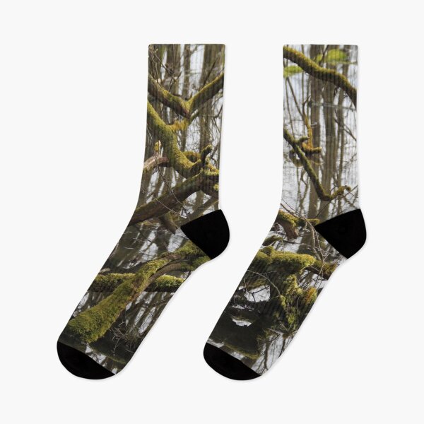 Item preview, Forest swamp during springtime natural reserve	 designed and sold by EstelleRossetti.