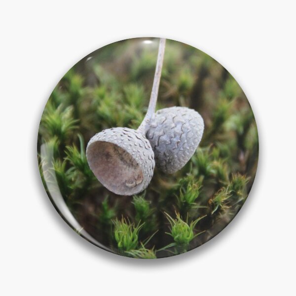 Artikelvorschau, Squirrel oak acorn in the green tar moss entworfen und verkauft von EstelleRossetti.