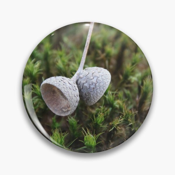 Artikelvorschau, Squirrel oak acorn in the green tar moss entworfen und verkauft von EstelleRossetti.