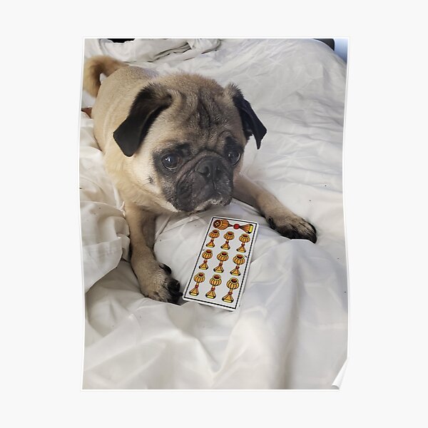 Tarot Pug Rocky Poster