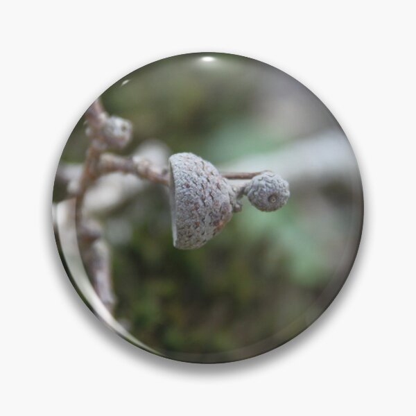 Artikelvorschau, Squirrel oak acorn in the green tar moss entworfen und verkauft von EstelleRossetti.