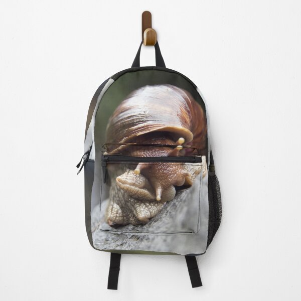 Item preview, Wild large mollusk shell in front of a waterfall designed and sold by EstelleRossetti.