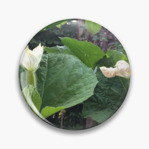 Item preview, White squash flowers designed and sold by Linnys-Designs.