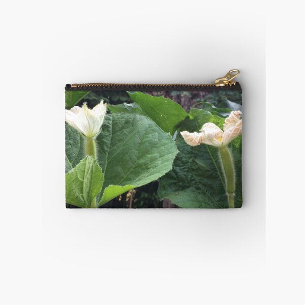 Item preview, White squash flowers designed and sold by Linnys-Designs.