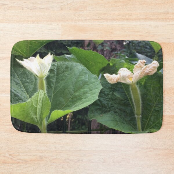 Item preview, White squash flowers designed and sold by Linnys-Designs.