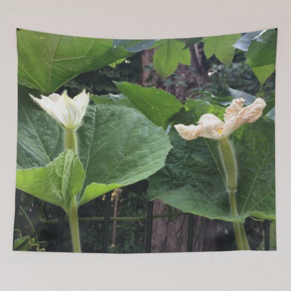Item preview, White squash flowers designed and sold by Linnys-Designs.
