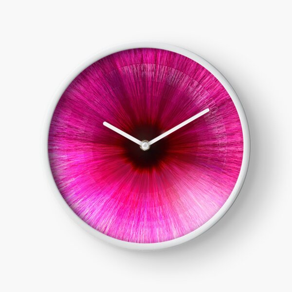 Omni Vision Clock