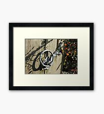 Garden Gate Framed Print