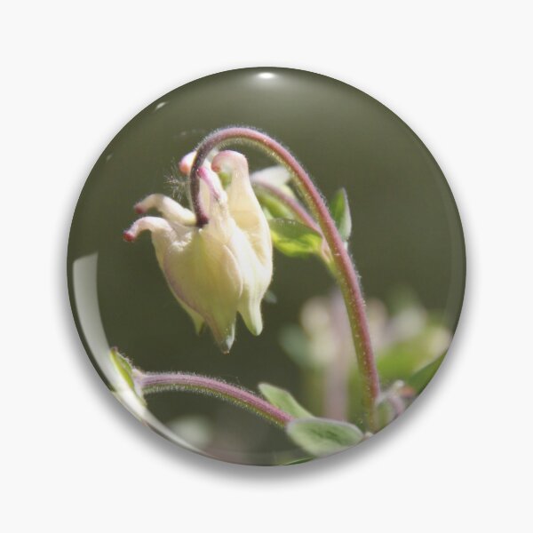 Item preview, Colorful pastel columbine granny's bonnet spring wildflowers	 designed and sold by EstelleRossetti.