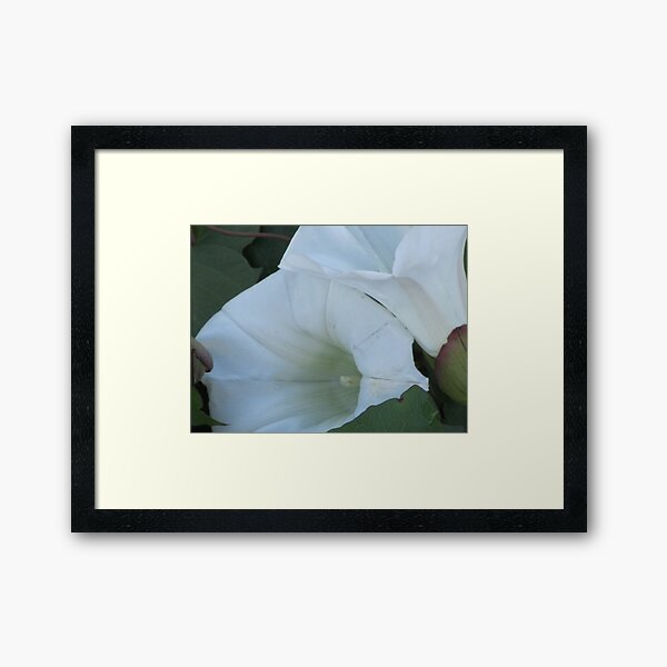White Flower Framed Art Print