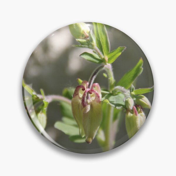 Item preview, Colorful pastel columbine granny's bonnet spring wildflowers	 designed and sold by EstelleRossetti.