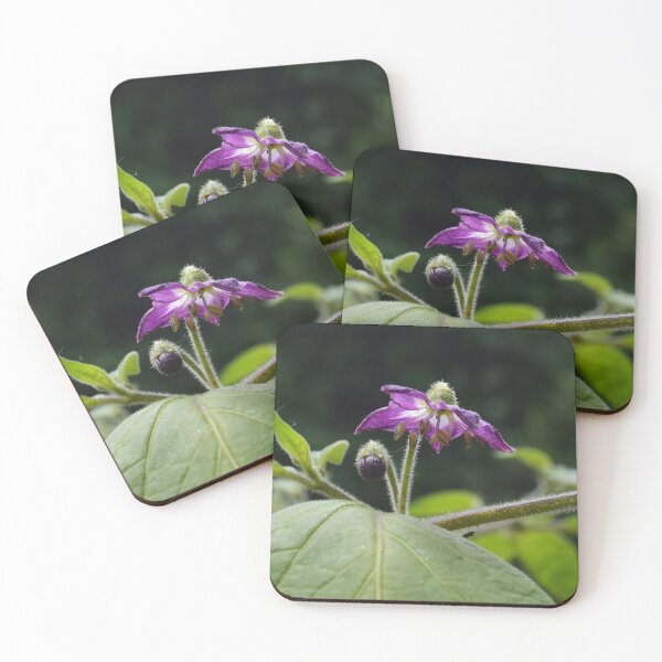 Item preview, Purple flower designed and sold by Linnys-Designs.