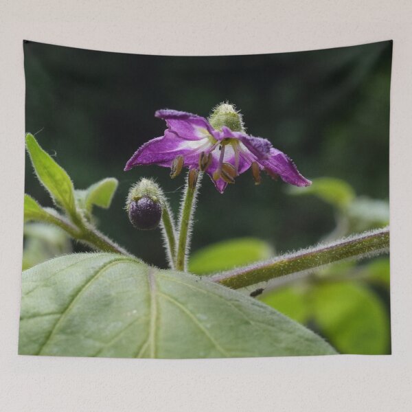 Item preview, Purple flower designed and sold by Linnys-Designs.