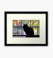 Pooh Bear In The Window Framed Print